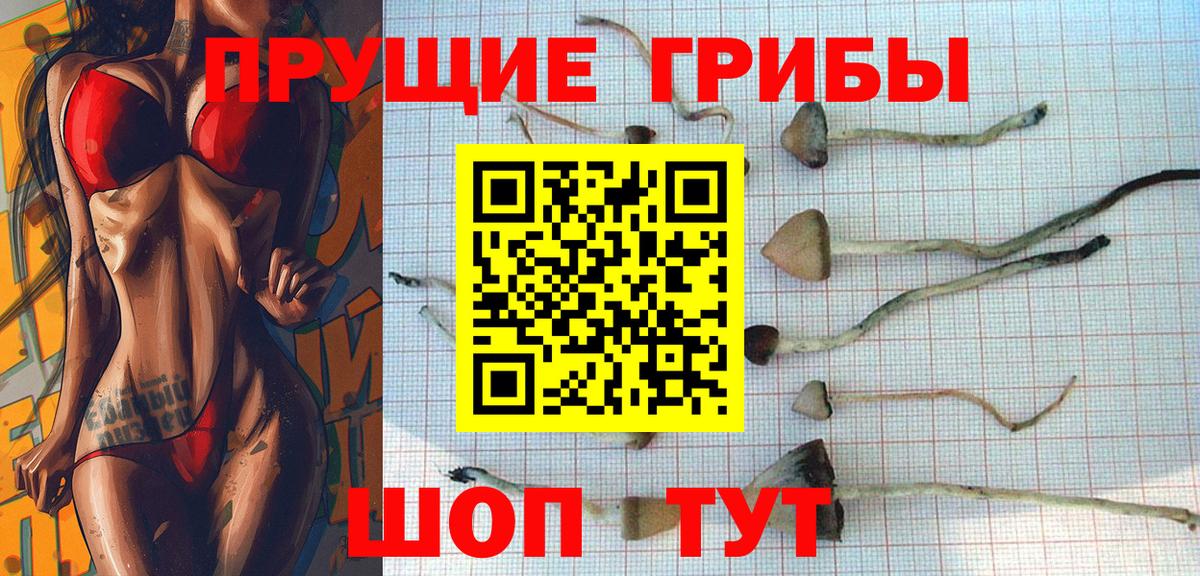 Псилоцибиновые грибы MAGIC MUSHROOMS  Вход с VPN  Донской 