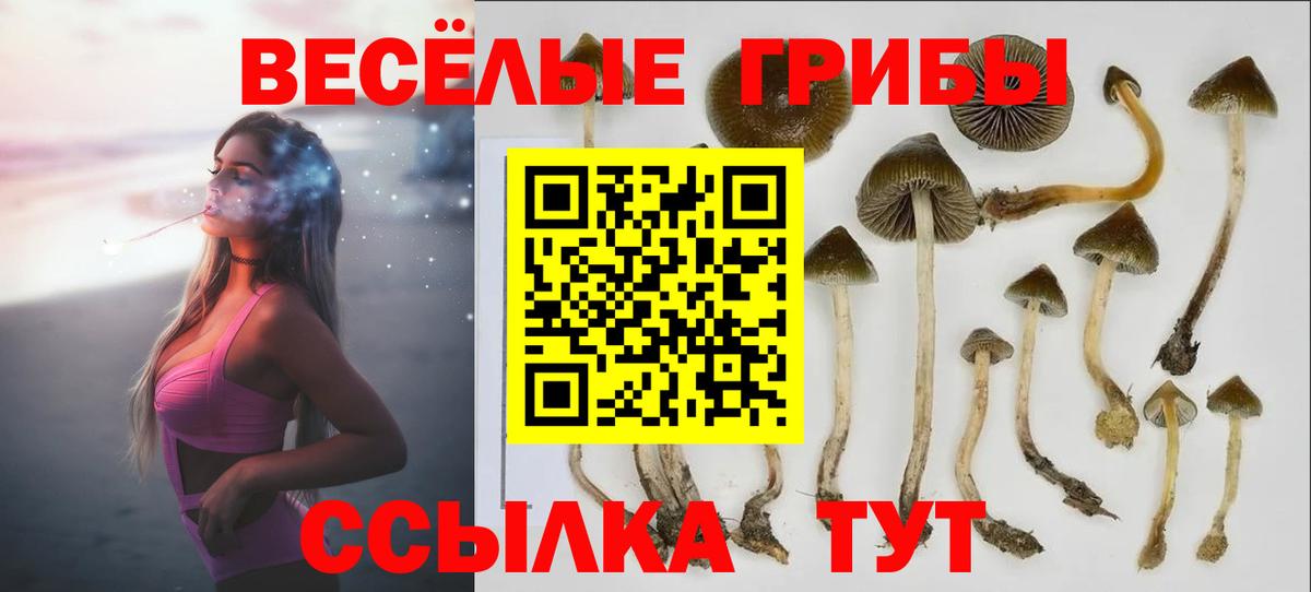 Галлюциногенные грибы мухоморы Донской